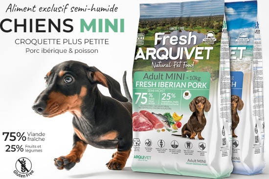 Croquettes semi-humides pour chien : avantages, usages et conseils Croquettes semi-humides pour chien : avantages, usages et conseils