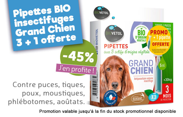 Lotion Anti Odeur Pour Chien Fait Maison Ventana Blog